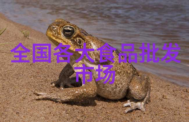 安抚小心脏的守护者宝宝不哭背后的深层含义