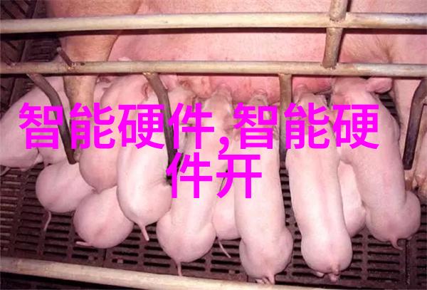轿车配件网上商城我是如何在速配神器上找到完美的尾翼装饰的