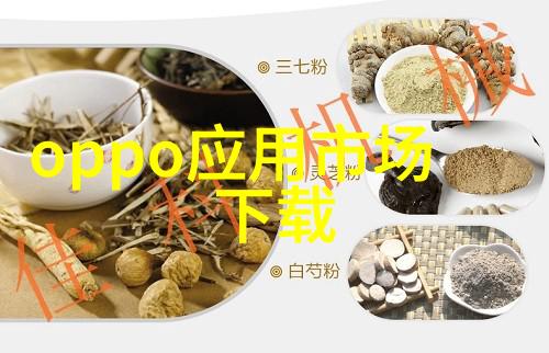项目资金申请报告精准扶贫计划实施情况与未来发展策略