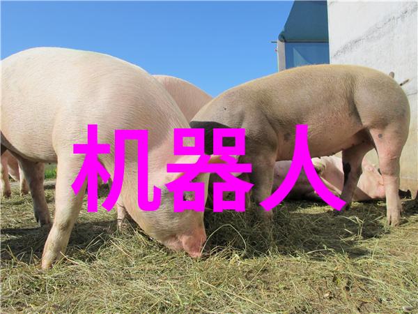 为何说深度学习在机器视觉培训中如此重要