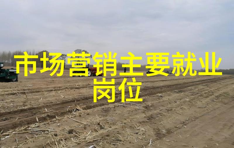 智能生活的新篇章安卓市场App下载官网探秘