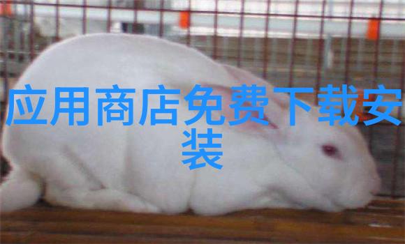 球王贝斯特冰上霸主的传奇征程