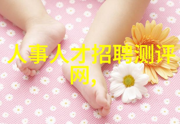 报告样本详细分析与实例解析
