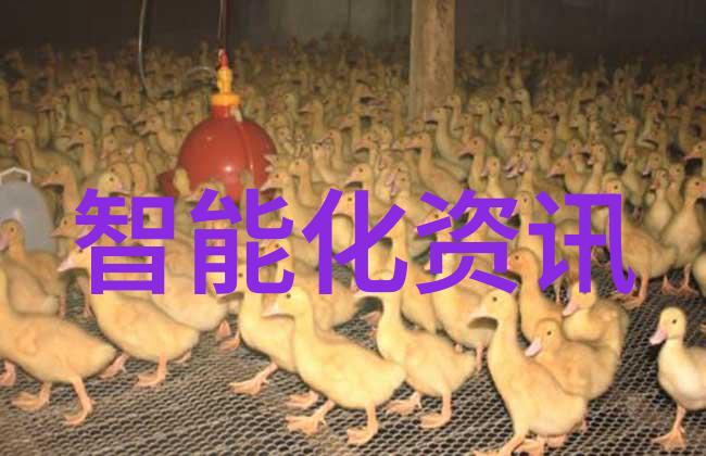 集成电路芯片我与那颗微小的智能灵魂揭秘集成电路芯片的奇迹