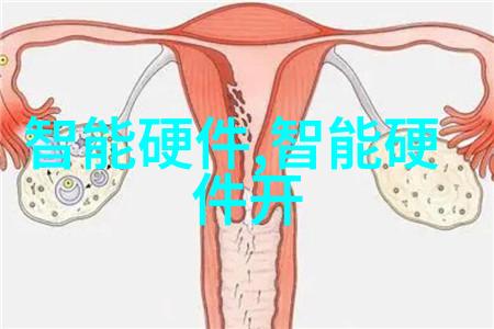 全球供应链中不可或缺的一环集成式輸送設備解析