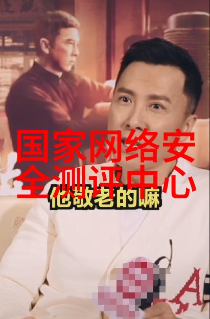 北京软件评测中心-探索北京软件评测中心技术创新与服务卓越的融合