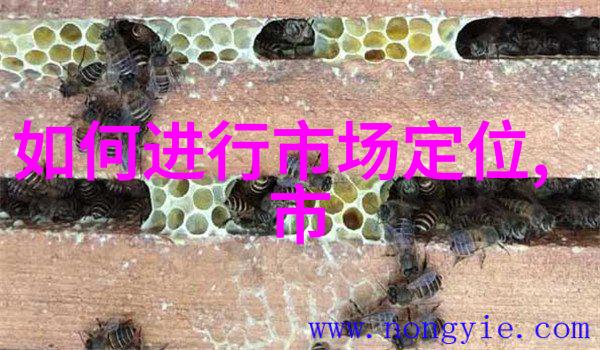 什么是适合不同行业的通用项目可行性报告范文模板