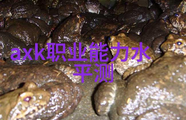 药剂自动化精准制造的艺术与科技交融