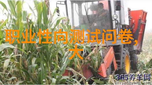 精密筛选机械之心的律动