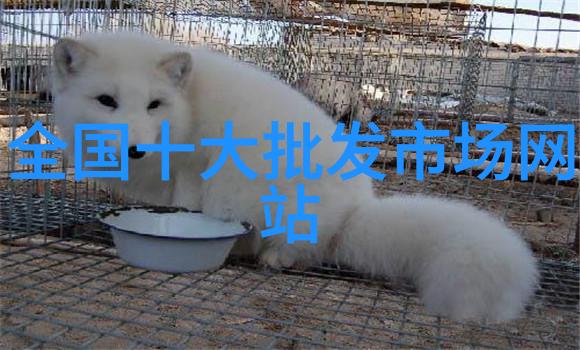 水质TDS检测标准了解不同地区的饮用水正常总发散量