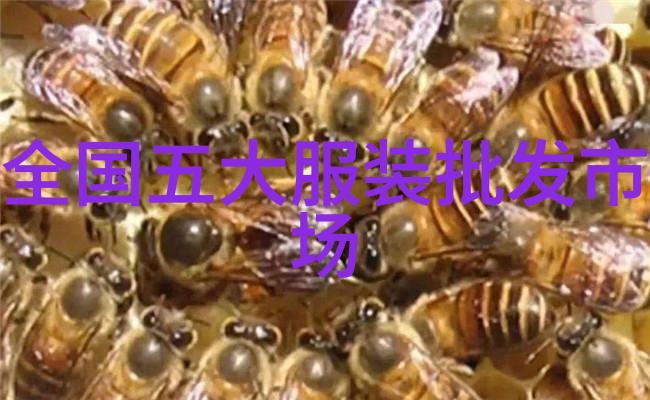 隔膜真空泵工作原理是什么