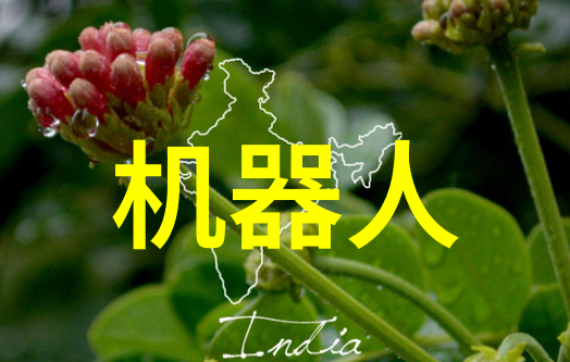 开启数字化转型之旅北京软件测评公司服务方案