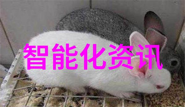 深渊之下清澈的谜团