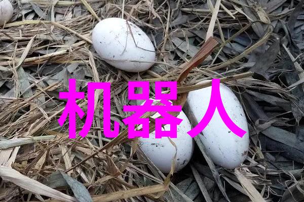 倍智人才测评我是如何通过这次测评找回自信的