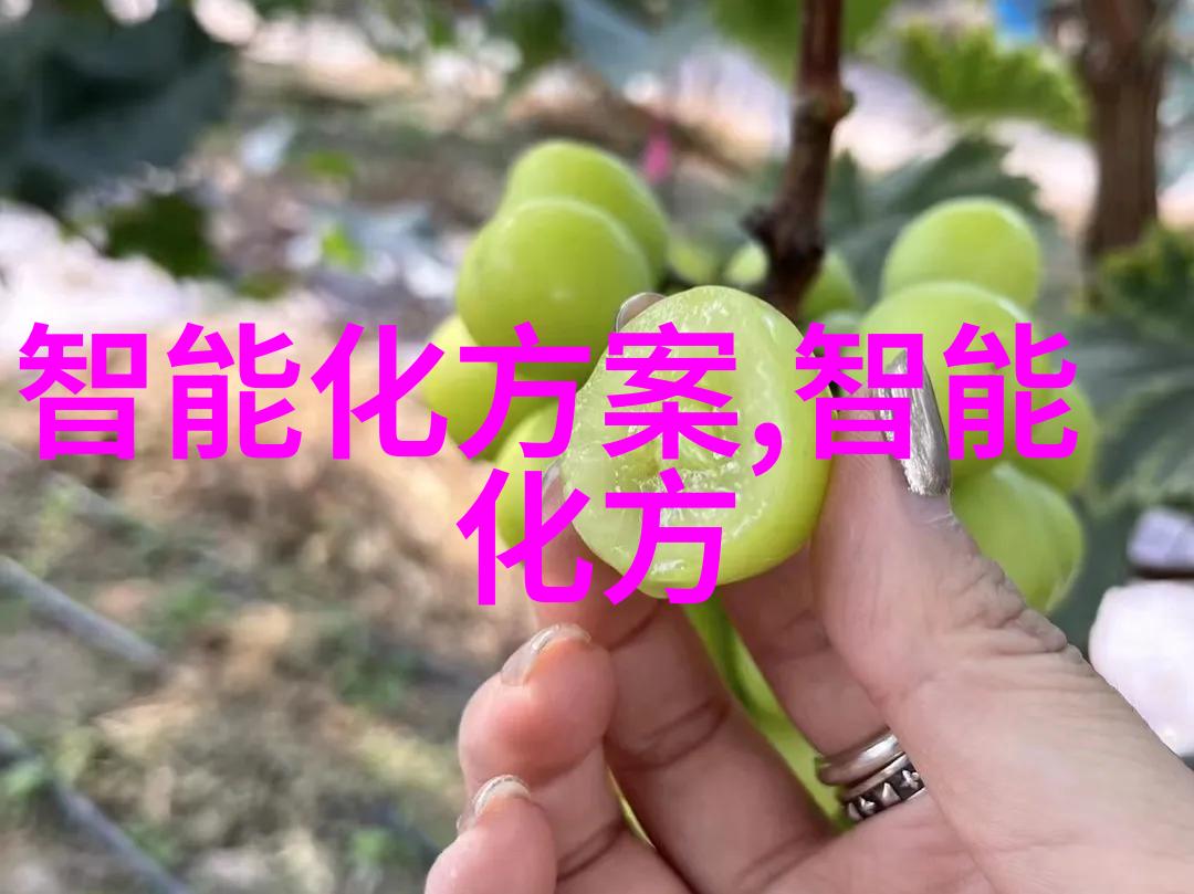 穿越时尚与科技可穿戴设备的未来特点又将是什么