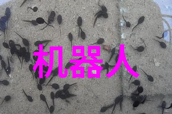 降膜蒸发器在食品加工中的作用是什么