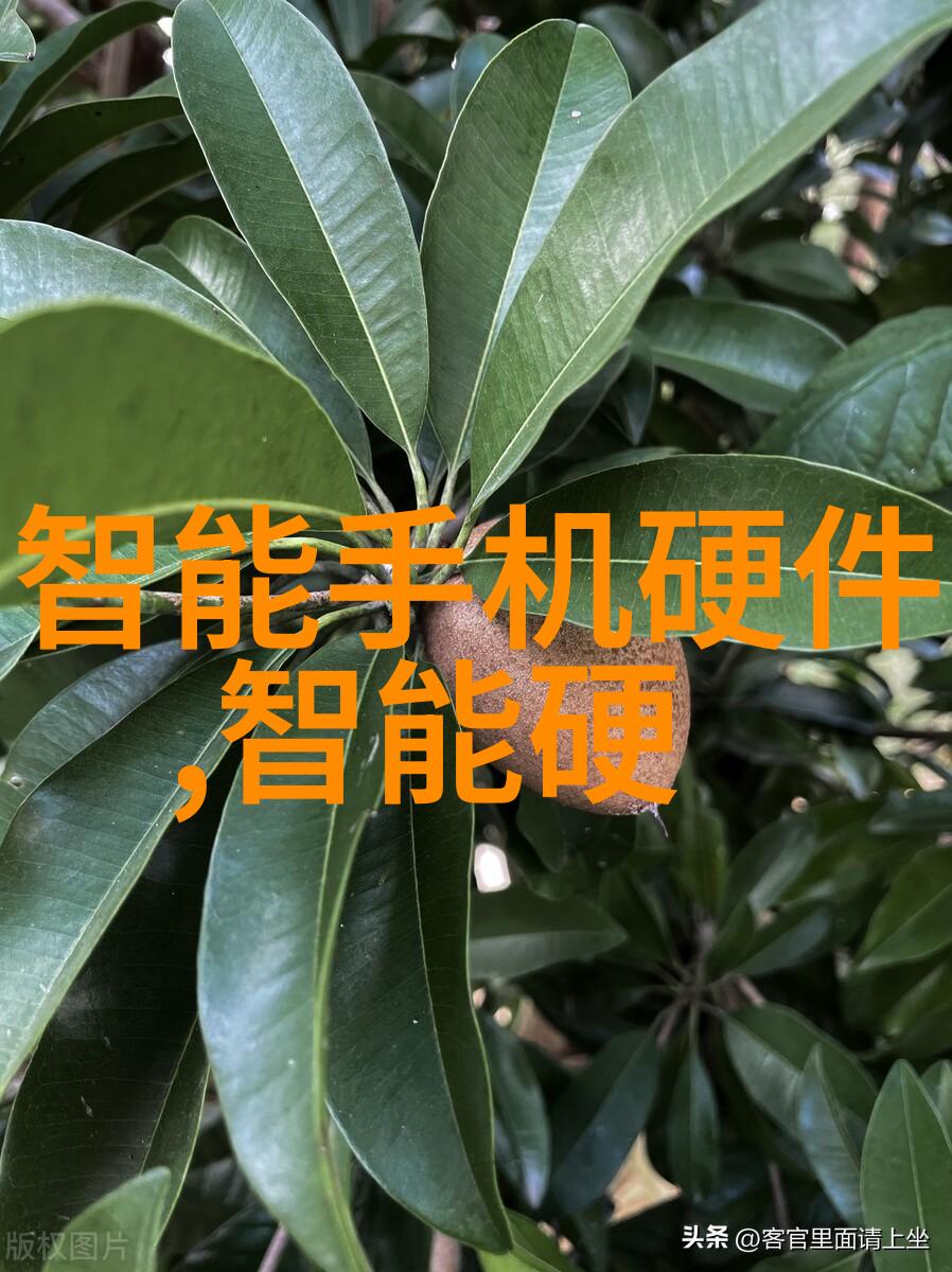 绘声绘色报告书的诗意编织