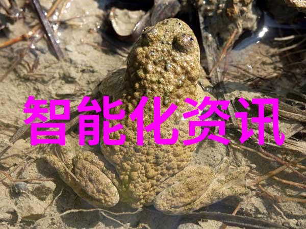 企业升级路径如何通过更新换代提升现有混和系统性能