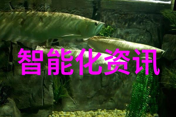新能源汽车标准将严格执行电动车充电基础设施迎来升级改造