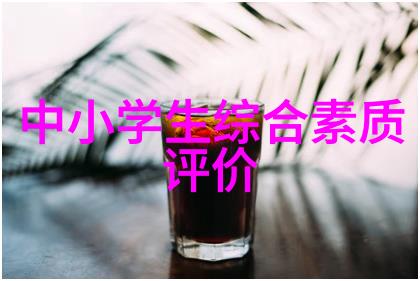 北京软件测评公司技术精准引领软件质量新纪元