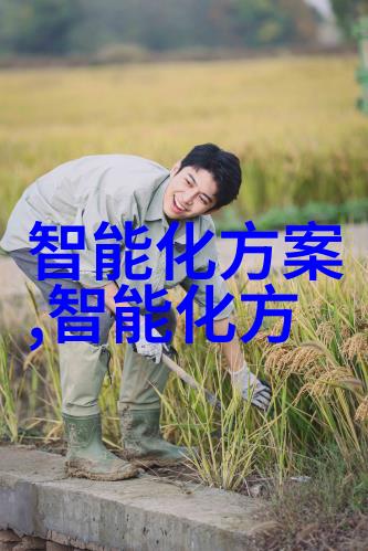 市场细分之谜揭秘背后的策略与机遇