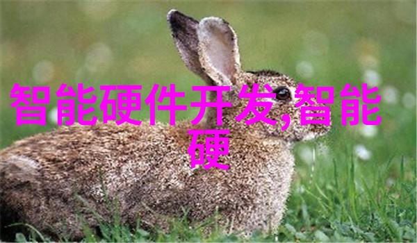 制造我的手中这把钥匙能开啥门