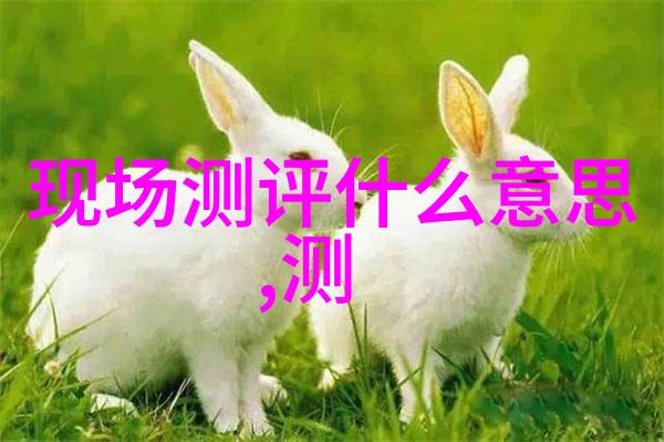 广东财经大学对学生开展了哪些特色活动和文化交流项目