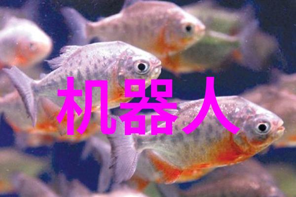 服装新品发布会我眼中的时尚盛宴穿越时尚界的奇幻之旅