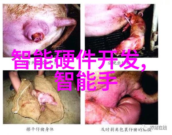 中南财经政法大学学术地位探究中国人民公安大学与中南工业管理学院的合并成就