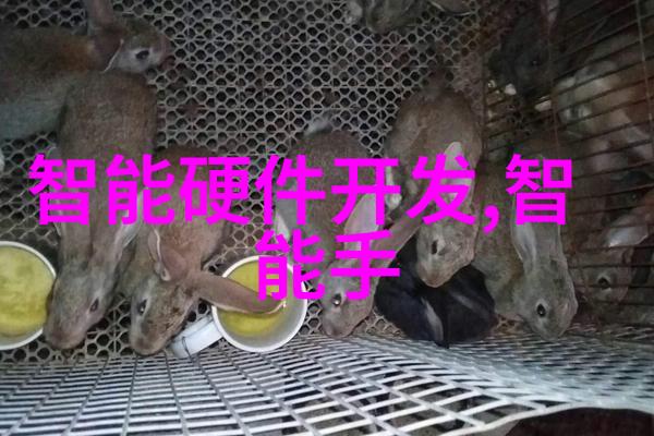 社会实践报告模板探索社区服务的艺术与科技融合