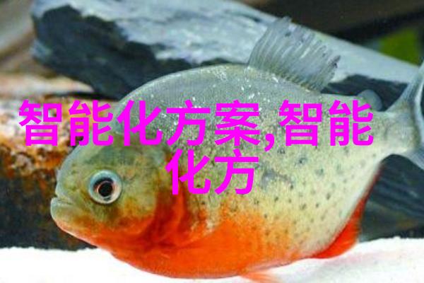 手工制作不锈钢家居装饰品图片DIY不锈钢艺术作品