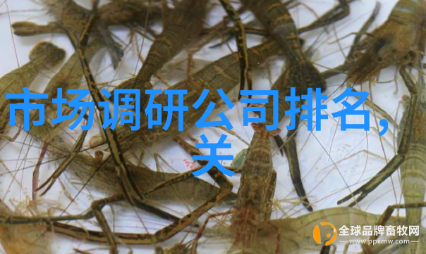 武汉职业技术学院我在这座城市的角落里发现了一个秘密花园