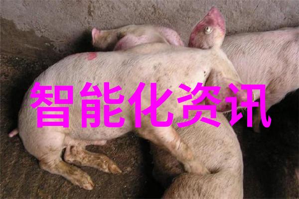 智能医疗装备技术-革新健康管理智能医疗装备技术的前景与应用