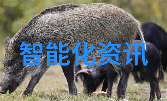 废水处理设备环保新技术与应用概述