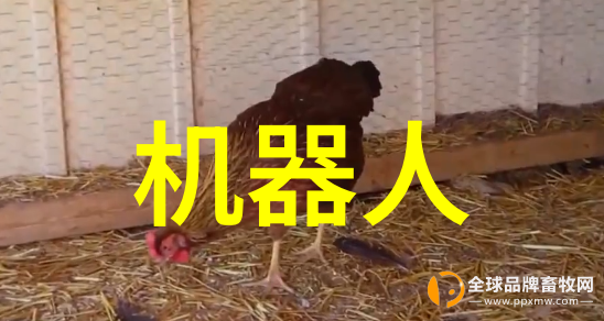 化工药品外包装机械的创新发展与应用前景