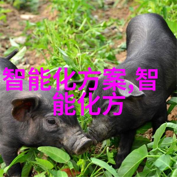 个人专利查询免费入口我来帮你一探究竟