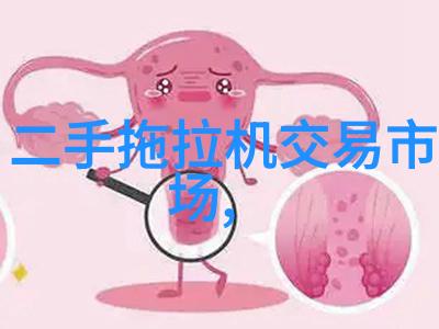 皮带输送机工业生产的重要物料运输工具