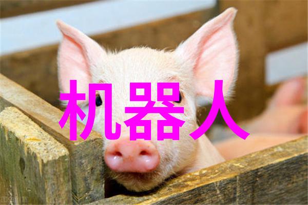 智能物流技术重塑未来供应链的驱动力