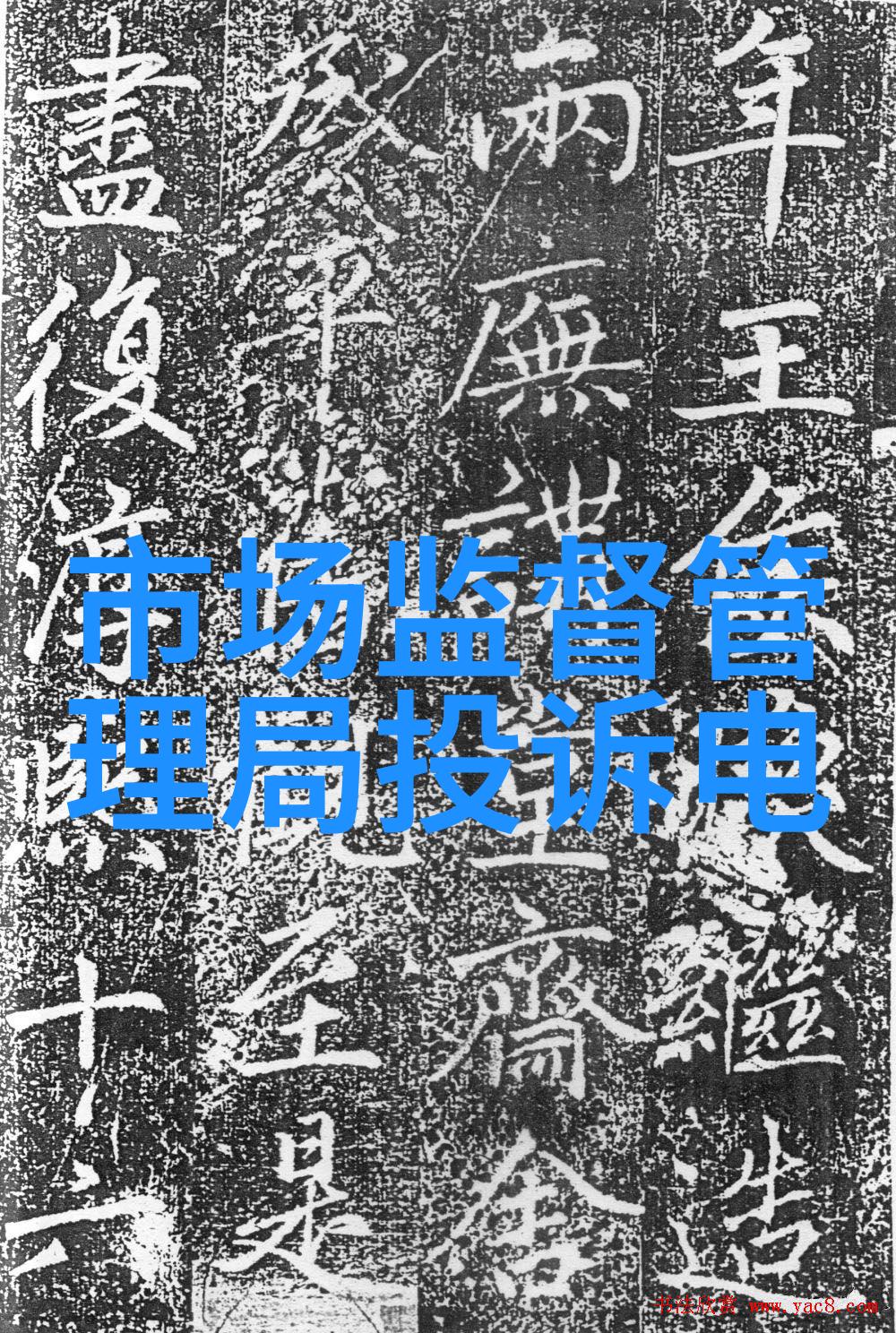 怎样将生活的精彩瞬间融入到简短的个人总结中