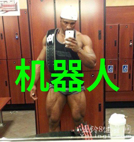 宁波城市职业技术学院的特色专业有哪些