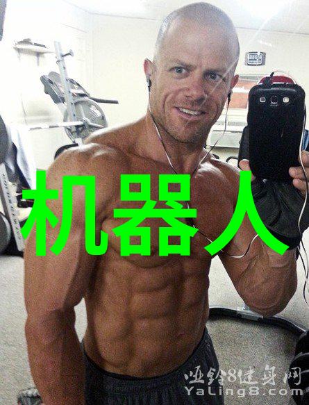 机械之翼滚筒输送设备的故事