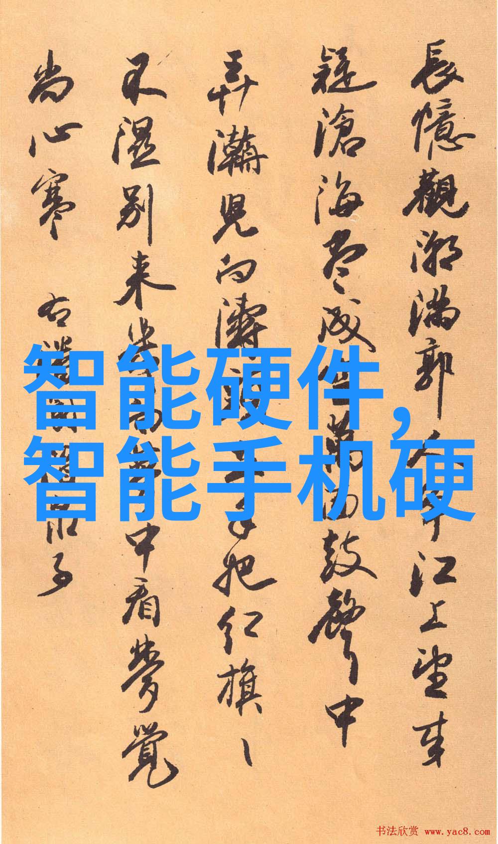 宠物药品我的小宝贝不舒服了如何选择最适合它们的药物