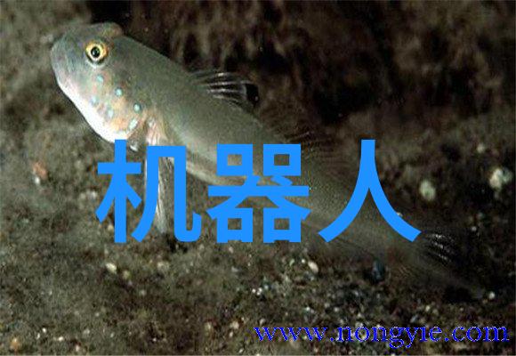 水质检测价格环境监测服务