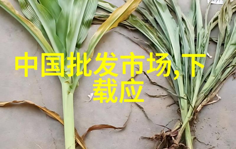 中国芯片最强之争联电与海思的竞技场