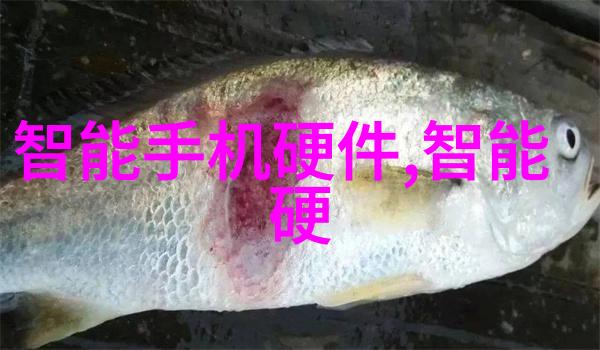 全自动蒸汽发生器我的生活的转变
