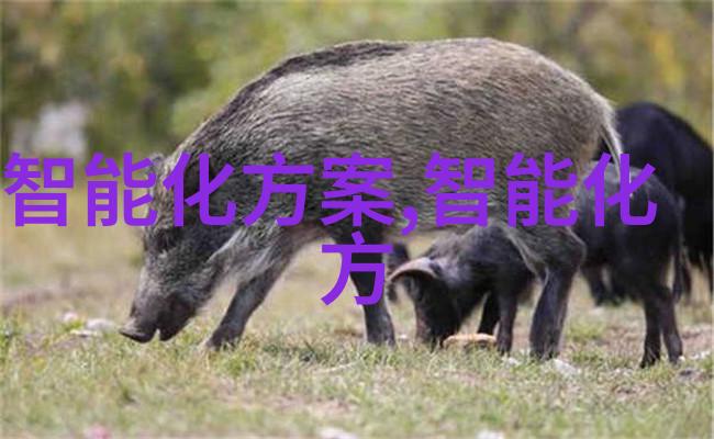 探索未知领域地球深处的神秘生命现象