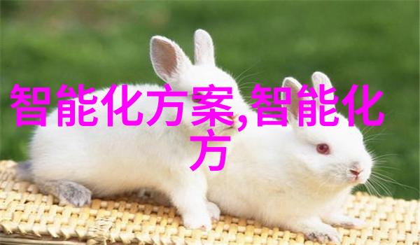 化工注射剂机械-精密混合与包装技术的创新应用