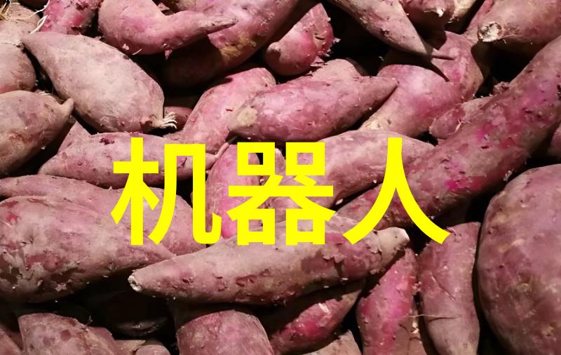 智能装备的应用未来世界的高科技伙伴