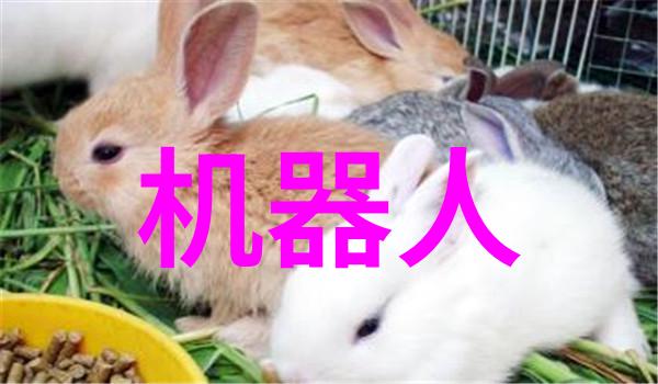 中集飞秒智能焊接机器人安全高效的工厂伙伴