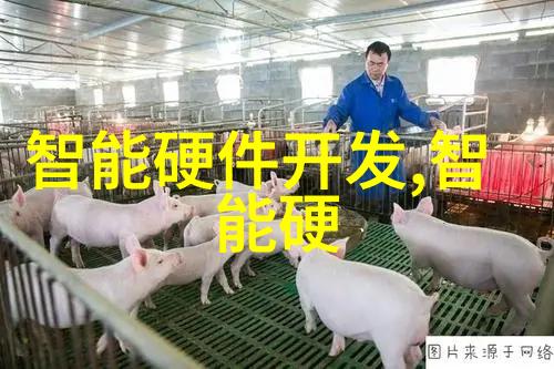 如何评估一个地区是否适合引入雷蒙机技术
